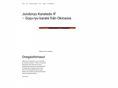 jundoryu.se snapshot