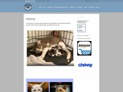 felinefriendsswfl.org snapshot