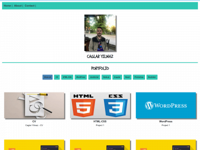 caglaryilmaz.se snapshot