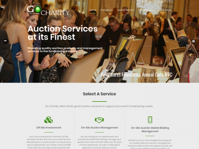 gocharity.com snapshot