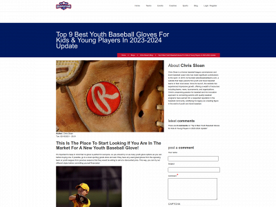 baseballglovestore.com snapshot