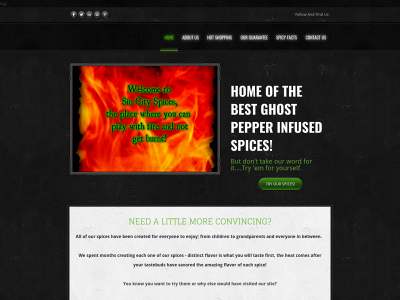 sincityspices.com snapshot