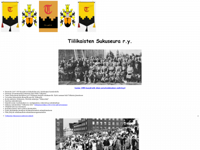 tiilikaiset.fi snapshot