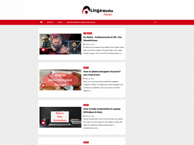 lingamedia.com snapshot