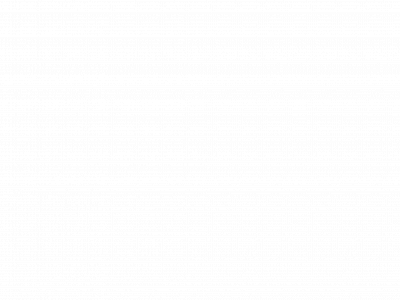 blushandbranch.com snapshot