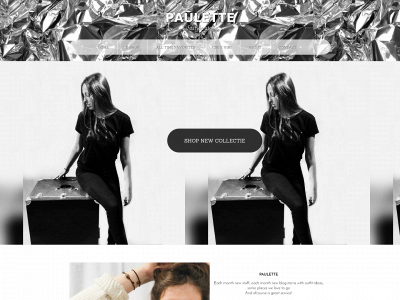 paulettelifestylestore.be snapshot