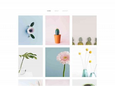 edgewares.weebly.com snapshot