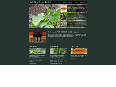 3-bspicerubs.com snapshot