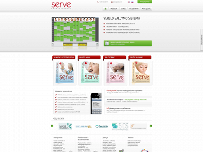 serve.lt snapshot