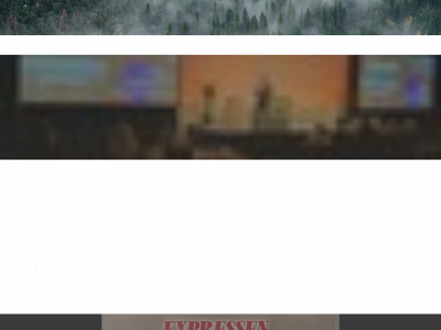 sallskapetmedia.se snapshot
