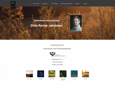 ditteravnø.dk snapshot