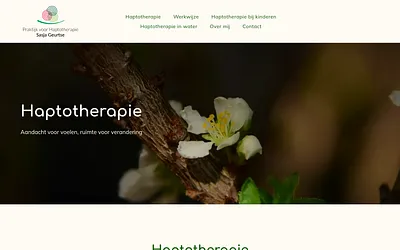 haptotherapiesasjageurtse.nl snapshot