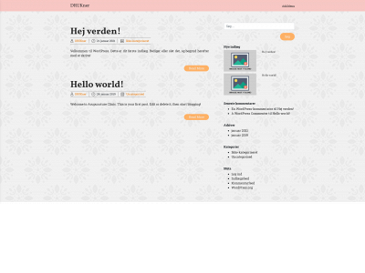 drukner.dk snapshot