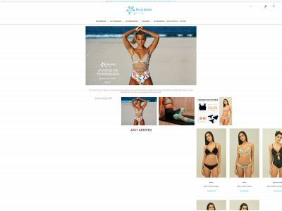praiabravacollections.com snapshot