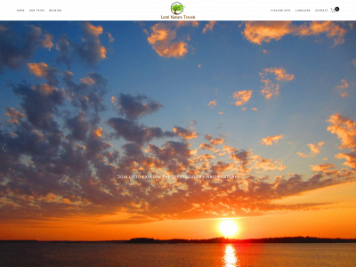 villesaarinen.com snapshot