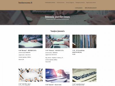 businesszone.lt snapshot