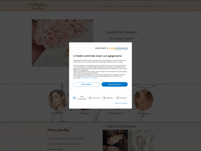 aminou.nl snapshot