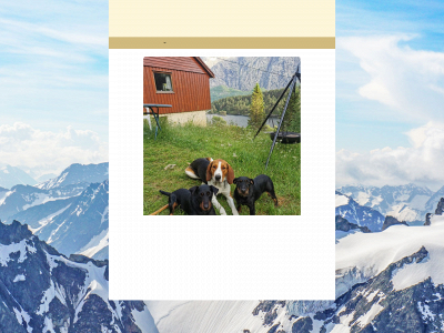 kalvegjerde.com snapshot
