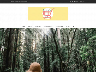erikascart.com snapshot