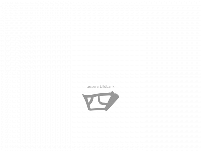 tessera.se snapshot