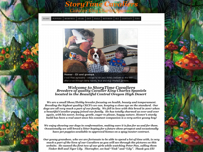 storytimecavaliers.com snapshot