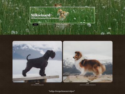 silkwizard.net snapshot
