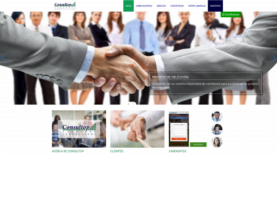 consultop.net snapshot