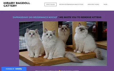 hibabyrag.weebly.com snapshot