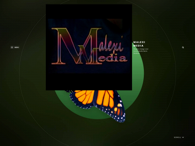 maleximedia.com snapshot