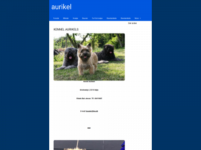 aurikels.dk snapshot