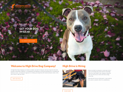 highdrivedogcompany.com snapshot