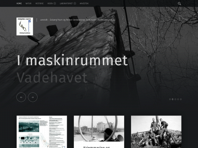 atlantvoldsydvest.dk snapshot