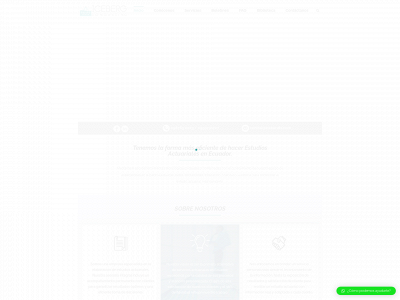 icebergdbi.com snapshot