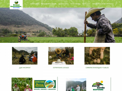 bosqueysuelo.com snapshot