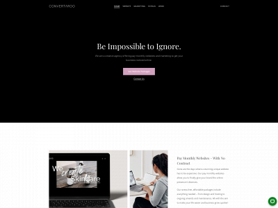 convertaroo.com snapshot