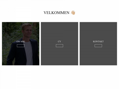 mplkasper.dk snapshot
