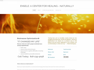 www.ensele.com snapshot
