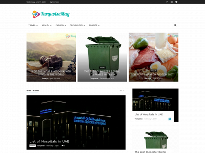 turquoisemag.com snapshot
