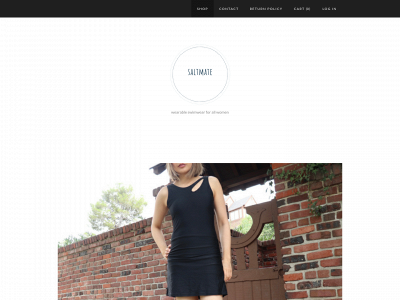www.saltmate.shop snapshot