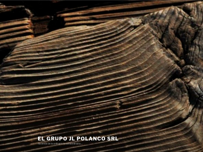 elgrupojlpolanco.com snapshot