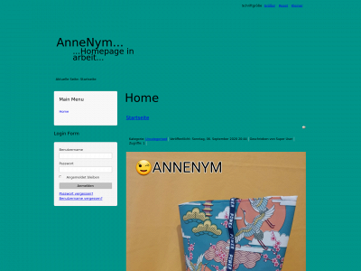 annenym.com snapshot
