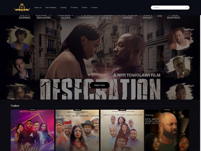 vfdnetwork.com snapshot