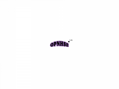 opnhseconnect.com snapshot
