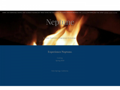 www.theneptunecompany.com snapshot