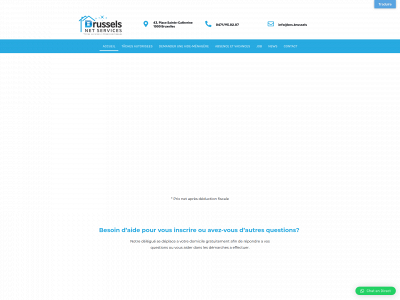 brusselsnetservices.be snapshot
