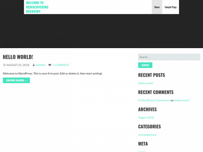 rediscoveringrecovery.com snapshot