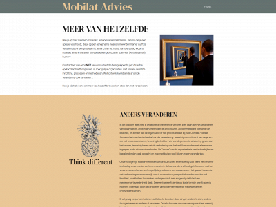 mpire.nl snapshot