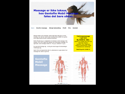 mobilbehandling.dk snapshot