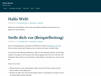elenabauer.com snapshot
