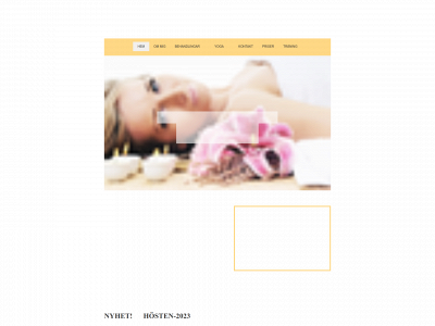 karinswellness.se snapshot